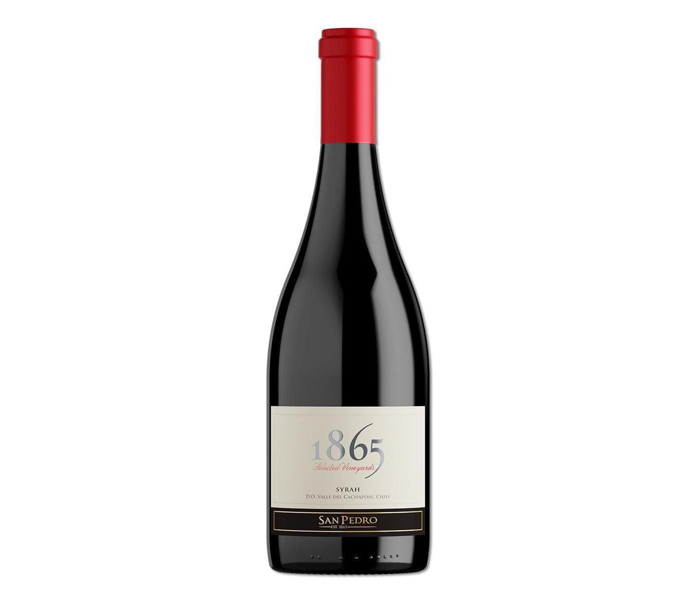 SAN PEDRO 1865 SINGLE VINEYARD SYRAH 75CL